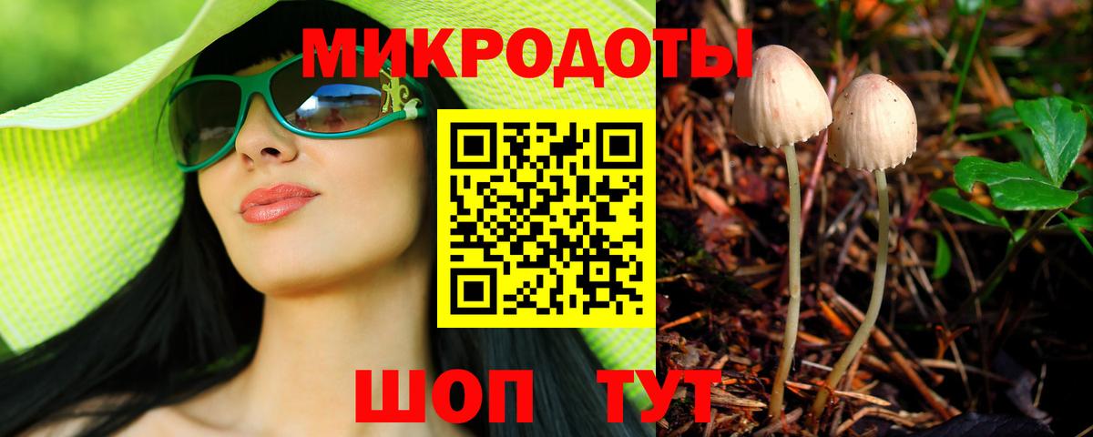 Новосибирск  Галлюциногенные грибы Psilocybine cubensis  Вход с VPN 
